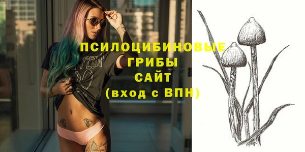 mdpv Вязьма