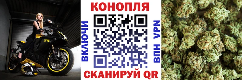 Каннабис марихуана  Купить закладки  Пласт 